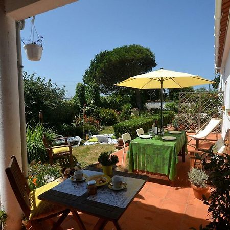 Happy Cat House - Holiday Rental Sao Martinho do Porto Luaran gambar