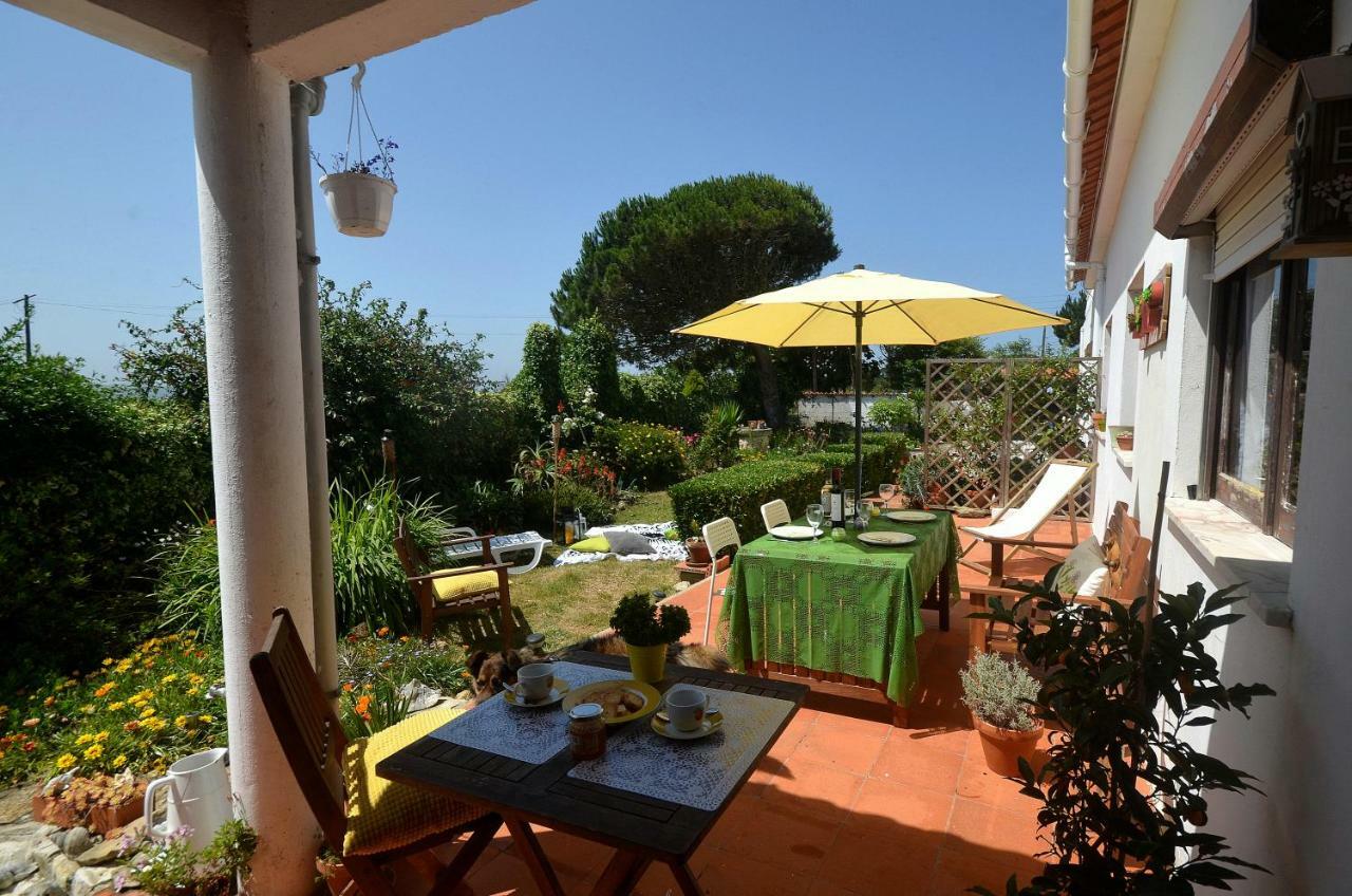 Happy Cat House - Holiday Rental Sao Martinho do Porto Luaran gambar