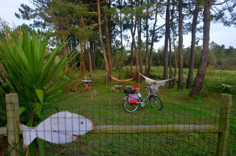 Happy Cat House - Holiday Rental Sao Martinho do Porto Luaran gambar
