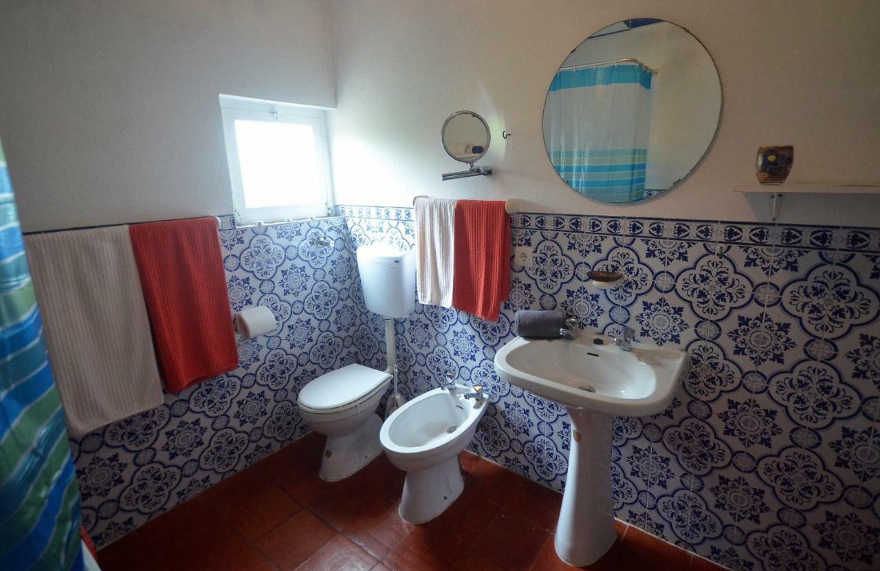 Happy Cat House - Holiday Rental Sao Martinho do Porto Luaran gambar