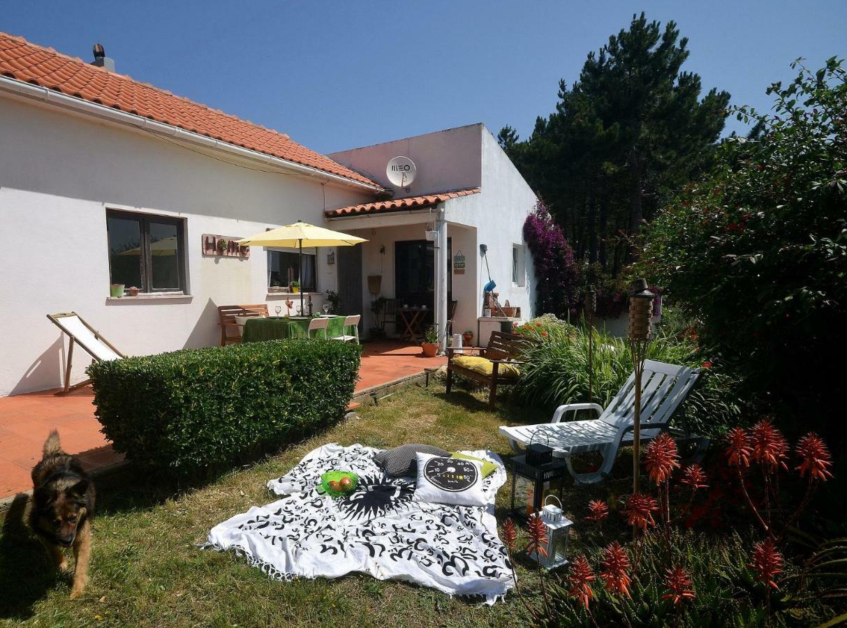 Happy Cat House - Holiday Rental Sao Martinho do Porto Luaran gambar