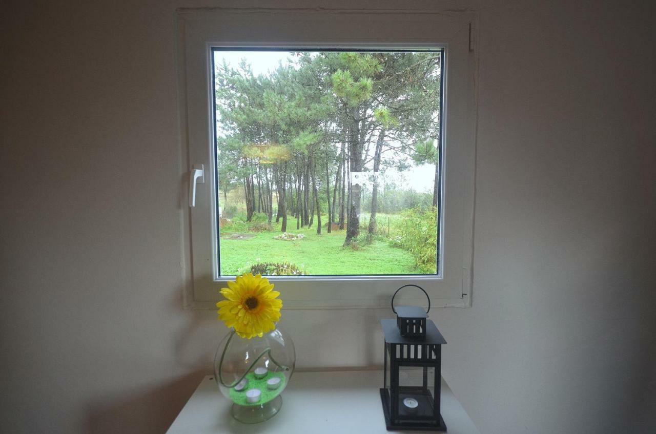 Happy Cat House - Holiday Rental Sao Martinho do Porto Luaran gambar