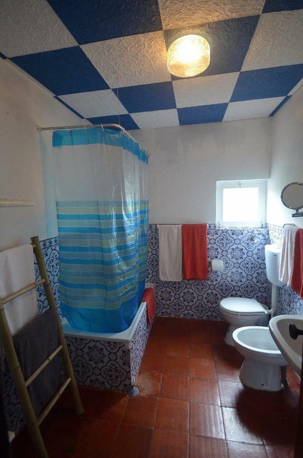 Happy Cat House - Holiday Rental Sao Martinho do Porto Luaran gambar